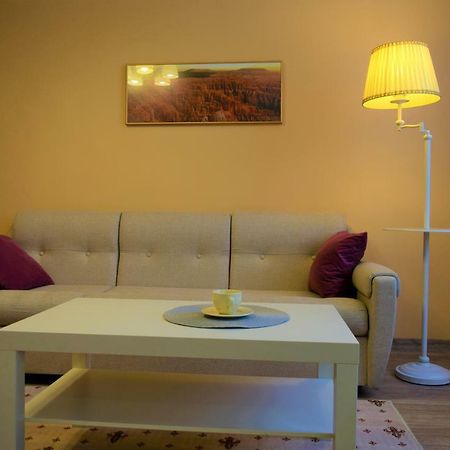 Central Comfortable One-Bedroom Apartment Chisinau Exterior foto